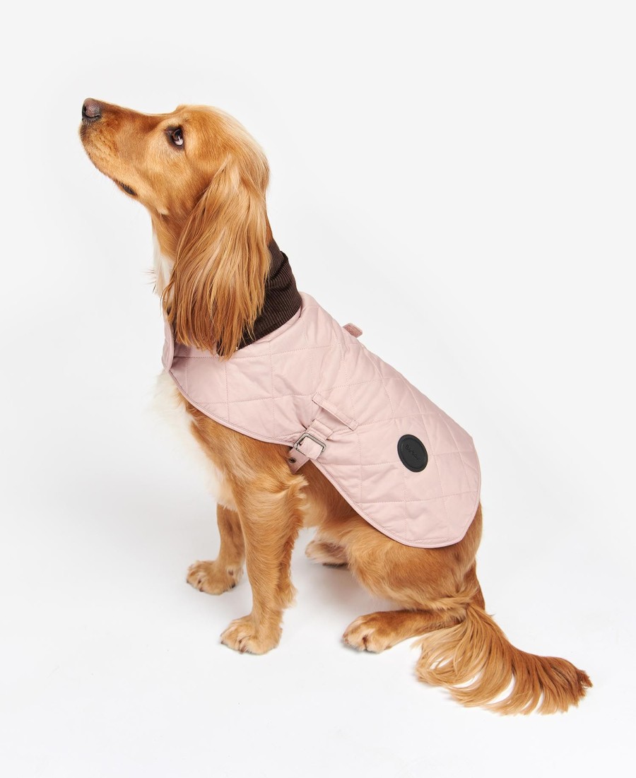 pikowany płaszcz dla psów