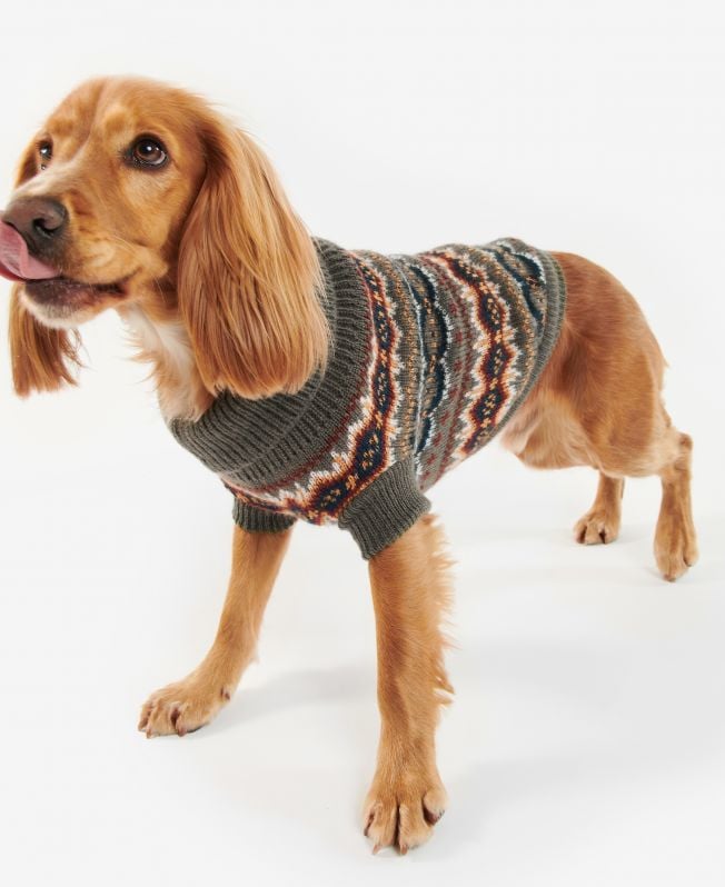 sweter w stylu fairisle dog