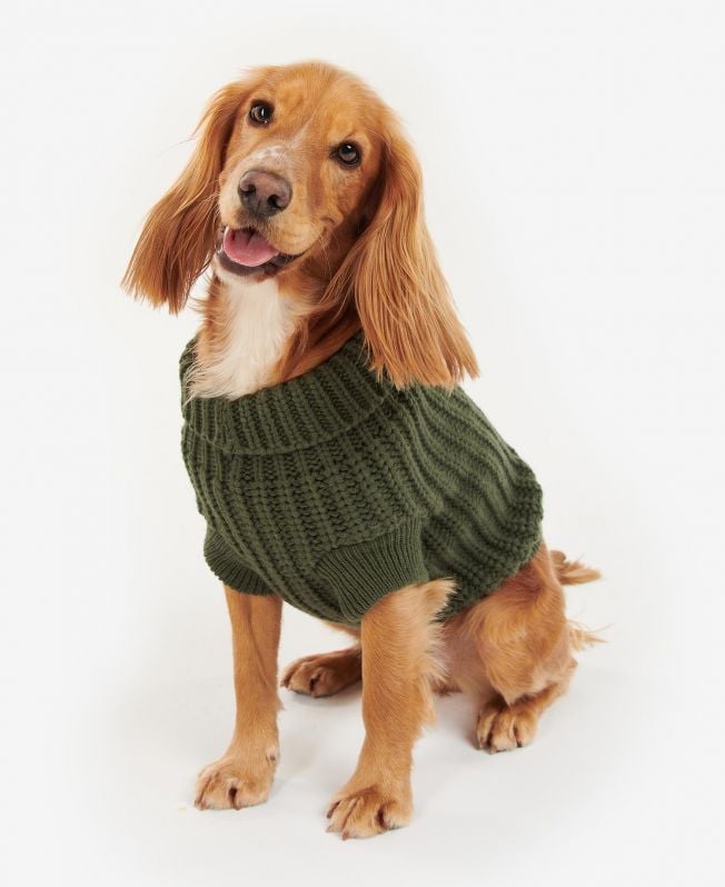 saltburn dog jumper