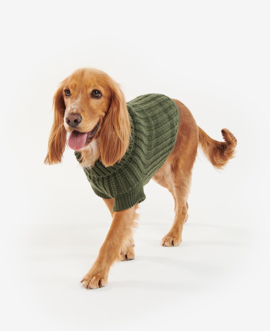 saltburn dog jumper