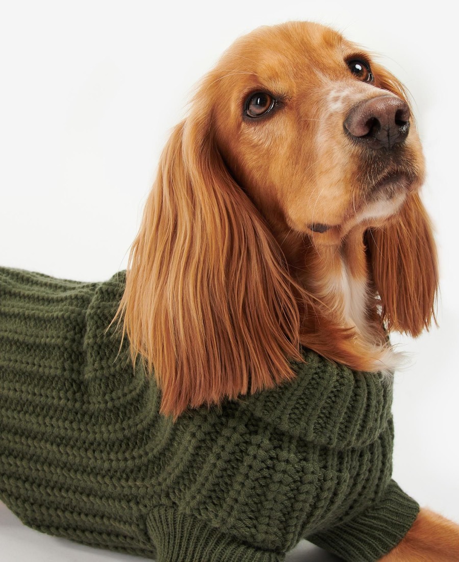 saltburn dog jumper