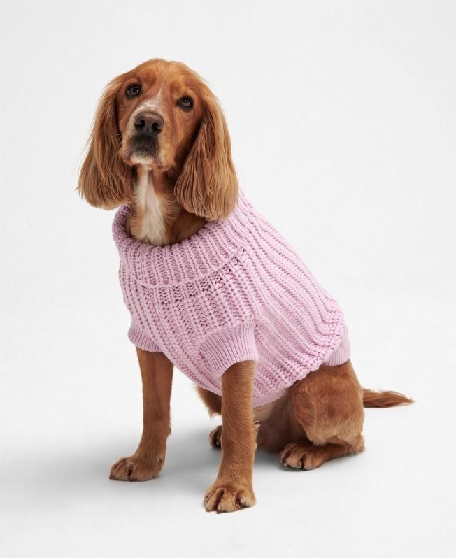 saltburn dog jumper