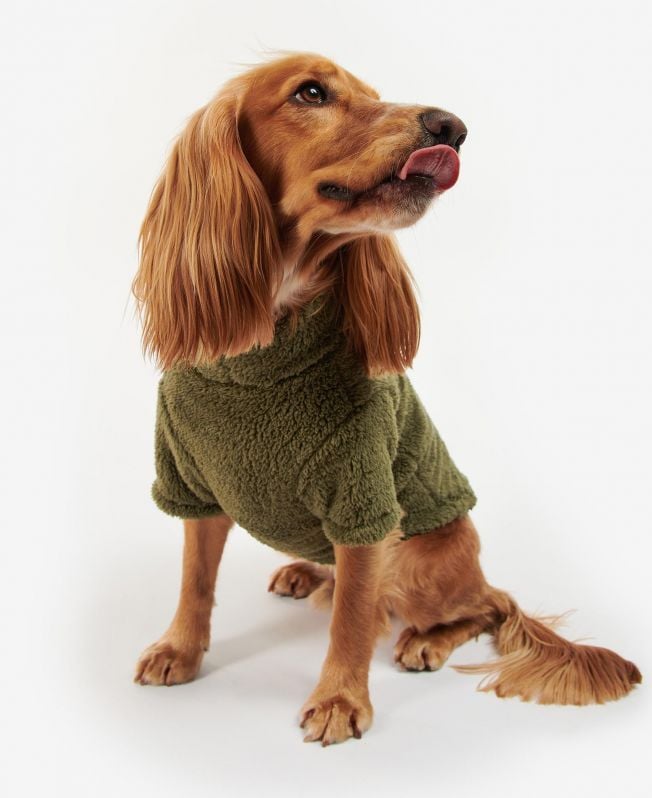 sweter z polaru teddy
