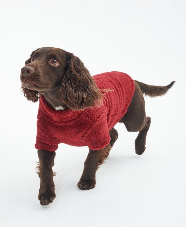 sweter z polaru teddy